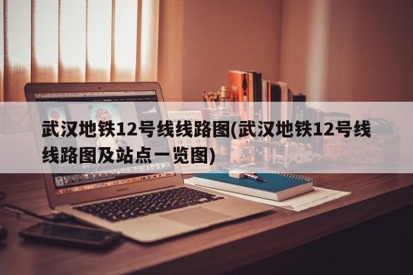 武汉地铁12号线线路图(武汉地铁12号线线路图及站点一览图)